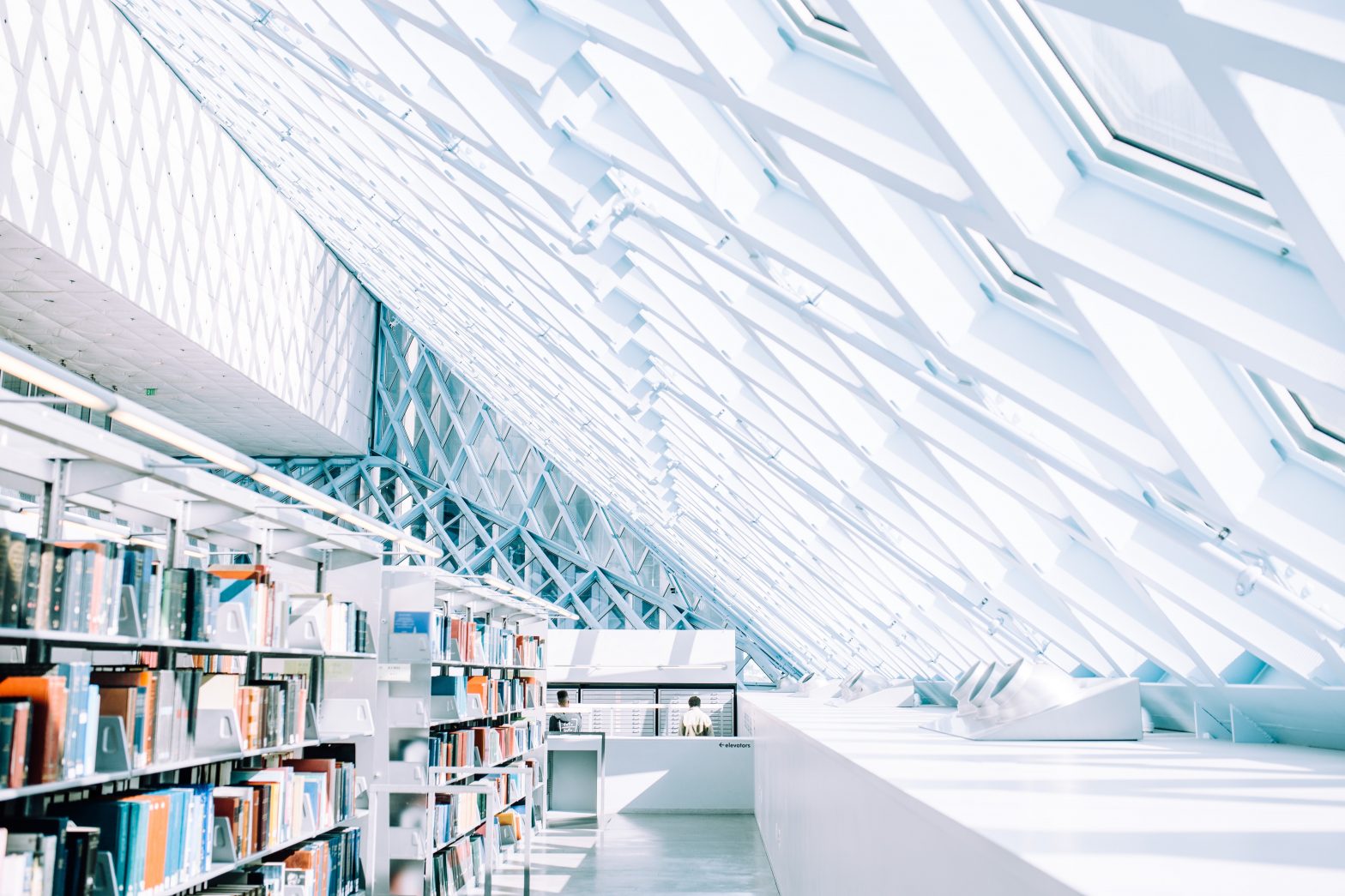 Neue Bücher: Online und Buchhandlung